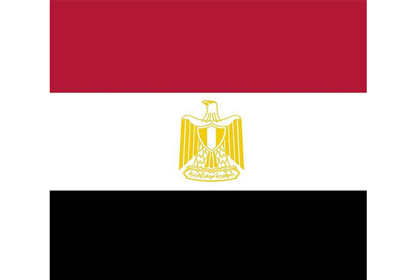 egypt coi pvoc